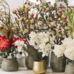 Ποιο φυτό ταιριάζει στην κρεβατοκάμαρα, το μπάνιο ή την κουζίνα; Καιρός να Μάθεις!