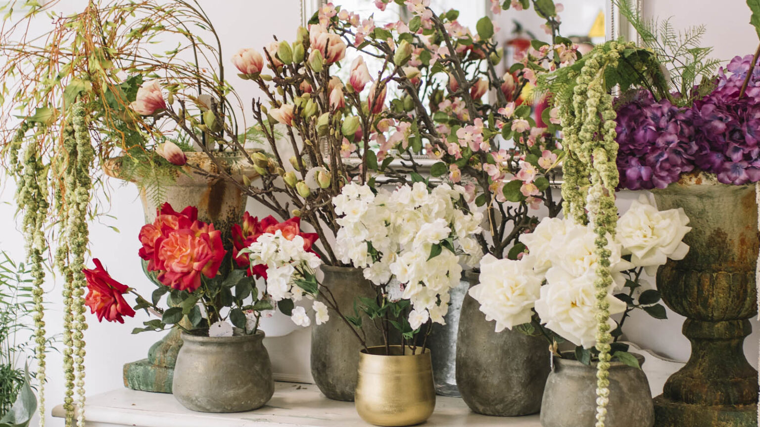 Ποιο φυτό ταιριάζει στην κρεβατοκάμαρα, το μπάνιο ή την κουζίνα; Καιρός να Μάθεις!