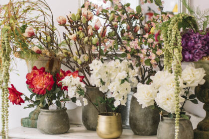 Ποιο φυτό ταιριάζει στην κρεβατοκάμαρα, το μπάνιο ή την κουζίνα; Καιρός να Μάθεις!