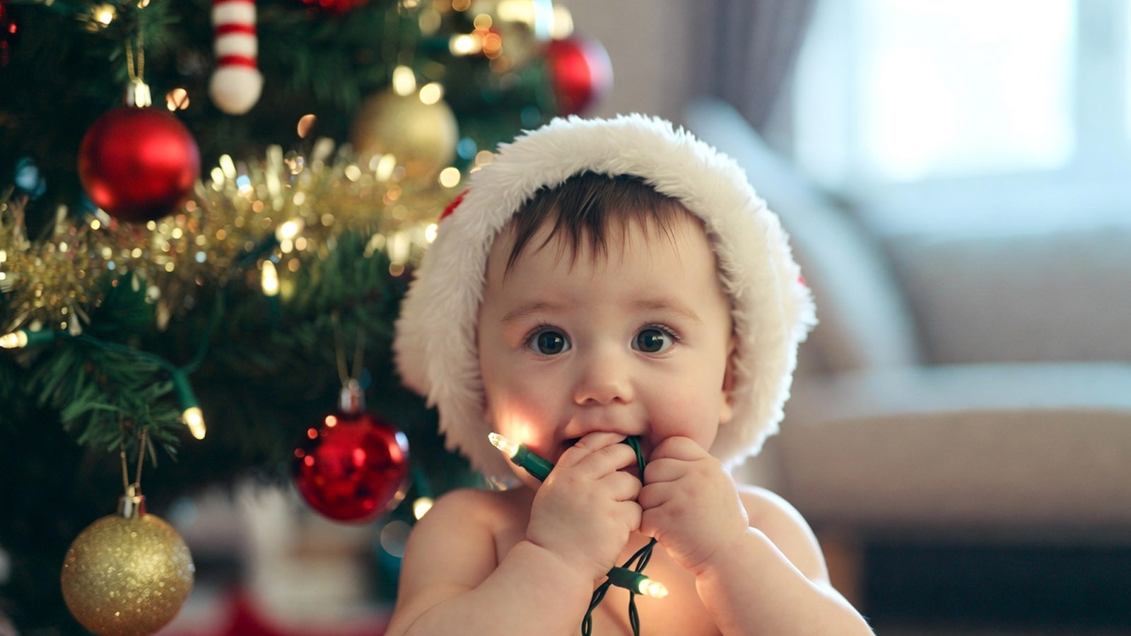 Χριστούγεννα: Ο σιωπηλός εχθρός παιδιών και κατοικιδίων στο σπίτι