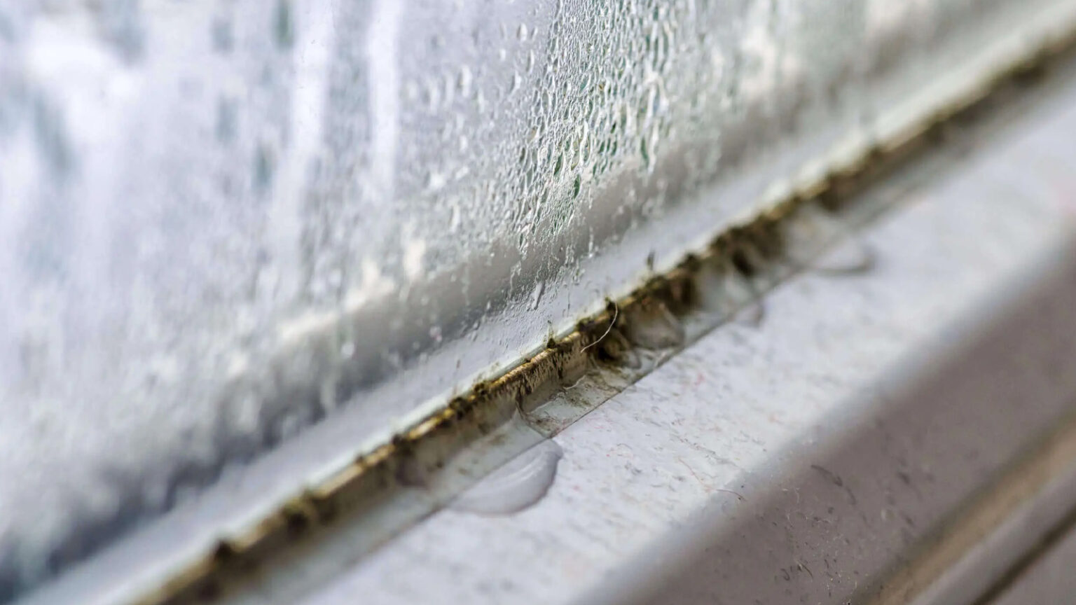 5+1 λάθη που κάνουν το σπίτι να μυρίζει "κλεισούρα"