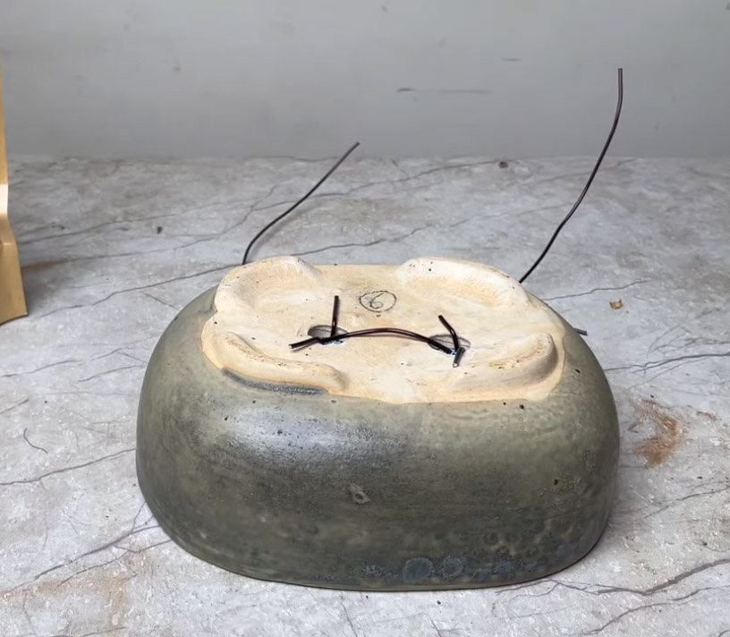 Πώς να φτιάξω Μπονσάι με οποιοδήποτε φυτό - Οδηγός για αρχάριους, κλάδεμα και διαμόρφωση