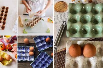 DIY Αυγοθήκες από Πηλό: Η Πανεύκολη Κατασκευή που Δείχνει Σαν να την Αγόρασες