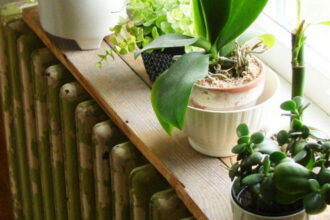 Το πρόβλημα δεν είναι η θερμότητα: Γιατί τα φυτά μαραίνονται όταν ανοίγουμε το καλοριφέρ;