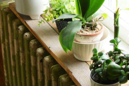 Το πρόβλημα δεν είναι η θερμότητα: Γιατί τα φυτά μαραίνονται όταν ανοίγουμε το καλοριφέρ;