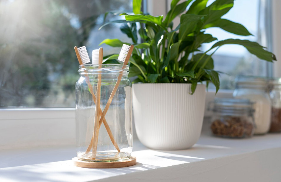 Τέλος η μούχλα και η συμπύκνωση στο σπίτι: 4 φυτά εσωτερικού χώρου που ρυθμίζουν την υγρασία