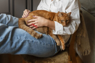 Νομίζει η γάτα σου ότι είσαι η μαμά της; 3 τρυφερές συμπεριφορές που το αποδεικνύουν