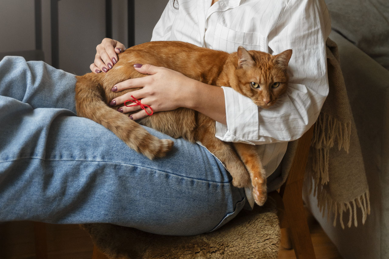 Νομίζει η γάτα σου ότι είσαι η μαμά της; 3 τρυφερές συμπεριφορές που το αποδεικνύουν