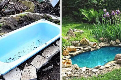 Μια παλιά μπανιέρα έγινε μια μαγική λιμνούλα για τον κήπο