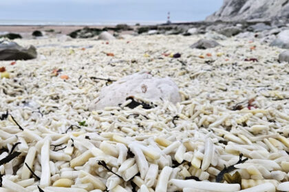 Παραλία στην Αγγλία “πνίγηκε” σε πατάτες και κρεμμύδια μετά από ναυτικό ατύχημα