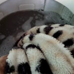 Οι 2 καλύτεροι τρόποι για να καθαρίσετε και να φρεσκάρετε μια κουβέρτα που δεν χωράει στο πλυντήριο ρούχων