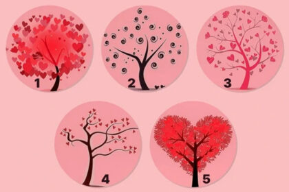 Είστε ευγενικός άνθρωπος: ποιο δέντρο θα επιλέξετε – ένα ψυχολογικό τεστ