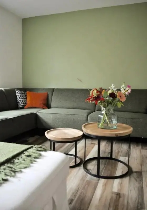 20 Όμορφα Σαλόνια σε Πράσινο και Γκρι 12 20 Όμορφα Σαλόνια σε Πράσινο και Γκρι