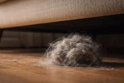 σκόνη κάτω από καναπέ σε κλειστό σπίτι