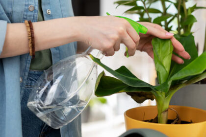 Ειδικός γεωπόνος συμβουλεύει: «Το νερό του κλιματιστικού μπορεί να βοηθήσει τα φυτά σας»