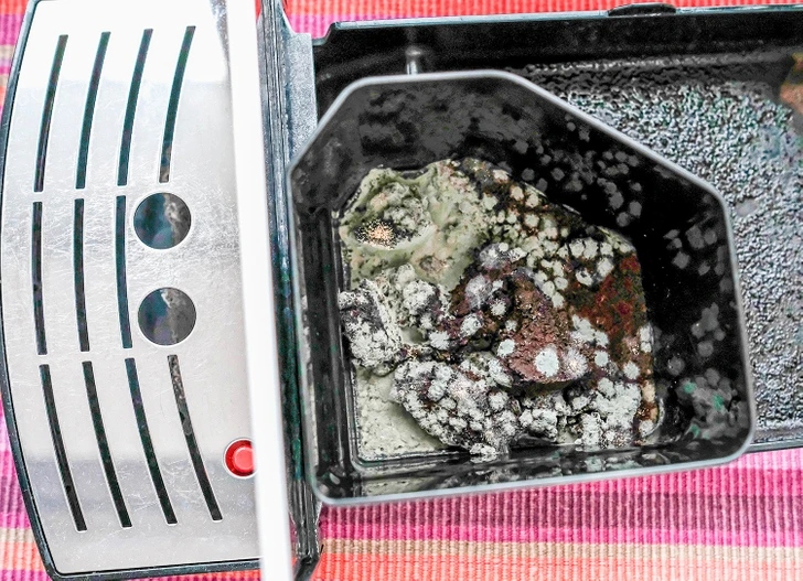 Αυτά είναι τα 7 σημεία στο σπίτι σου που παραδόξως είναι τα πιο βρώμικα σύμφωνα με τους ειδικούς 3 Αυτά είναι τα 7 σημεία στο σπίτι σου που παραδόξως είναι τα πιο βρώμικα σύμφωνα με τους ειδικούς