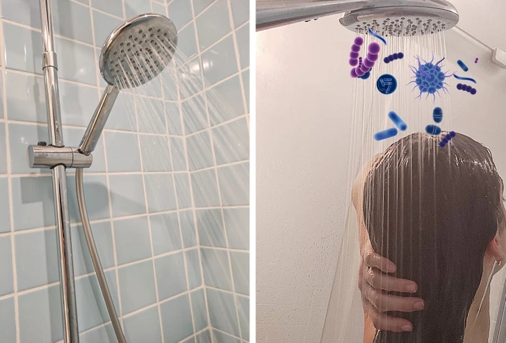 Αυτά είναι τα 7 σημεία στο σπίτι σου που παραδόξως είναι τα πιο βρώμικα σύμφωνα με τους ειδικούς 7 Αυτά είναι τα 7 σημεία στο σπίτι σου που παραδόξως είναι τα πιο βρώμικα σύμφωνα με τους ειδικούς