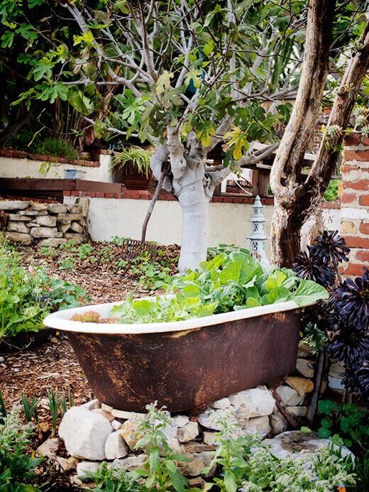 20 κατασκευές κήπου με παλιές μπανιέρες 3 20 κατασκευές κήπου με παλιές μπανιέρες