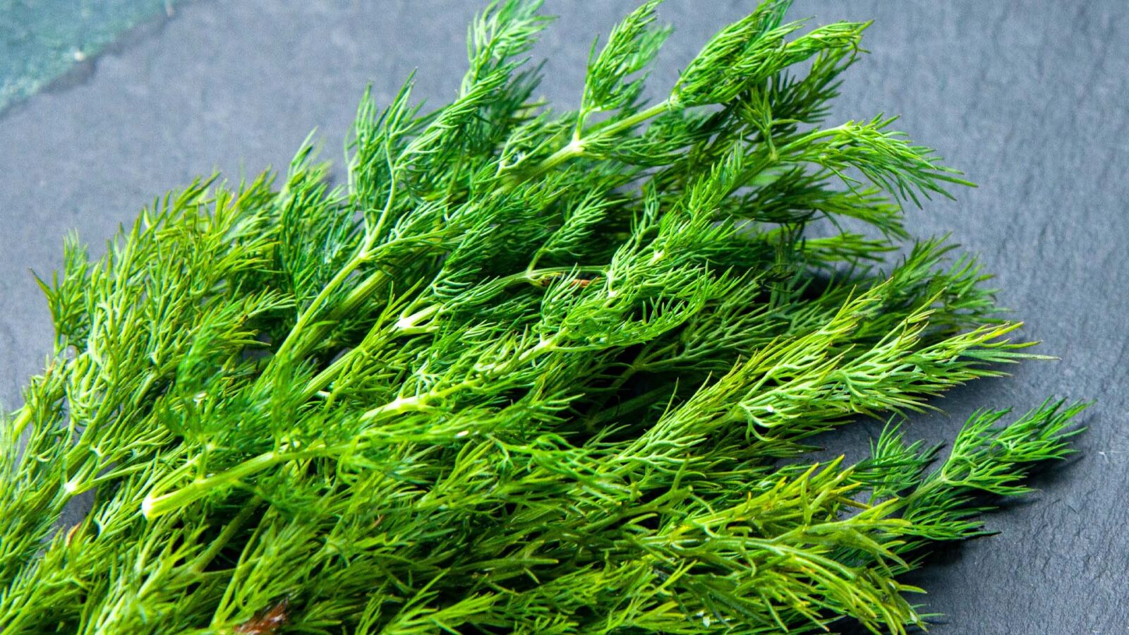 Σου πικρίζει ο άνηθος και ο μαϊντανός; Φταίει το μαχαίρι που ενεργοποιεί ένζυμα και χαλάει τη γεύση