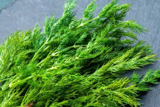 Σου πικρίζει ο άνηθος και ο μαϊντανός; Φταίει το μαχαίρι που ενεργοποιεί ένζυμα και χαλάει τη γεύση