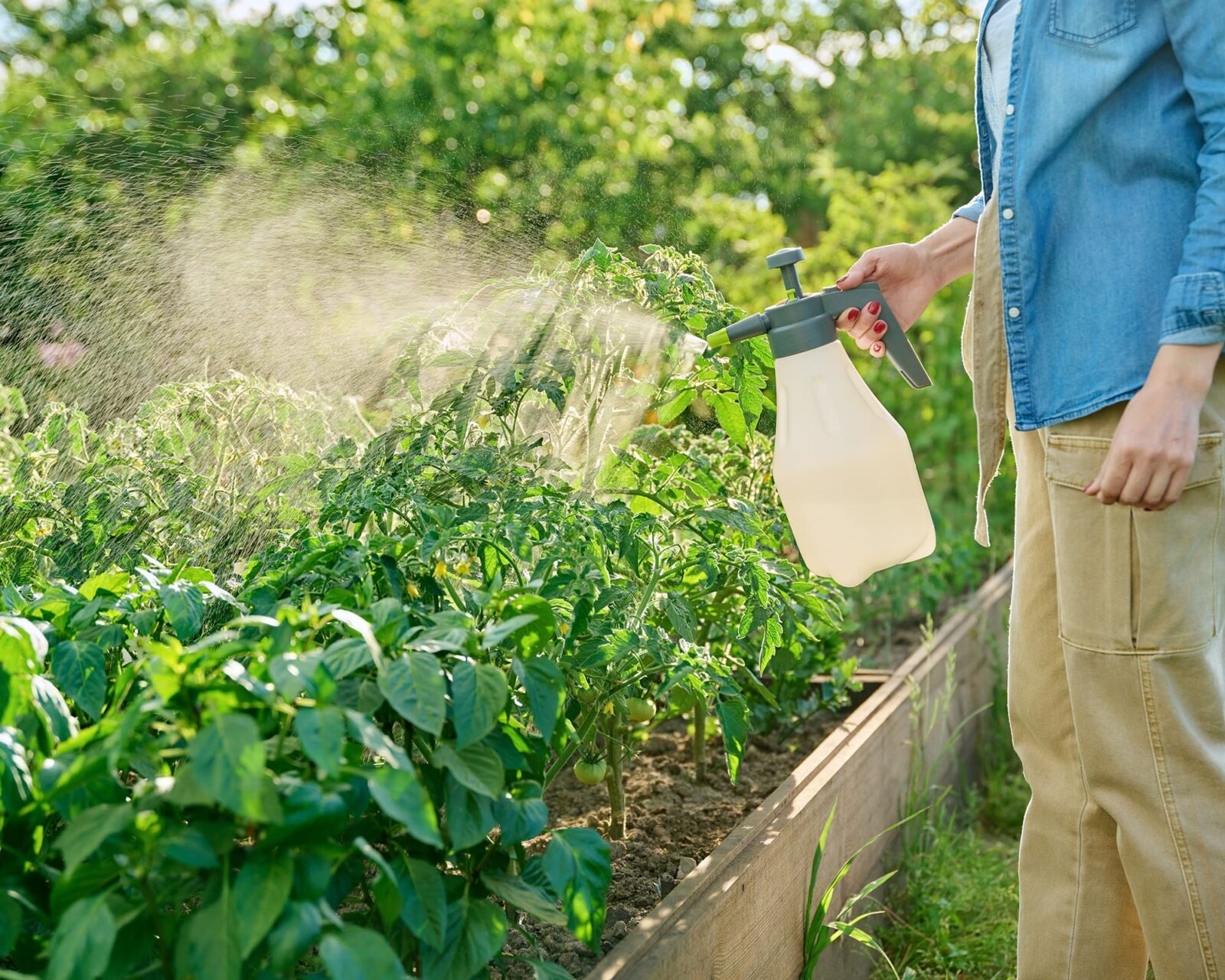 Είδες κάμπιες να τρώνε τα φυτά σου; 6 φυσικοί τρόποι να τις διώξετε χωρίς χημικά 3 φυσικό σπρέι για τις κάμπιες