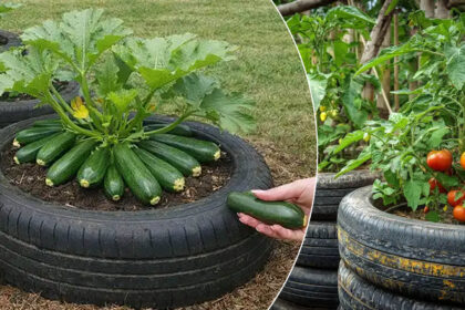 Φρούτα και λαχανικά σε παλιά λάστιχα αυτοκινήτου