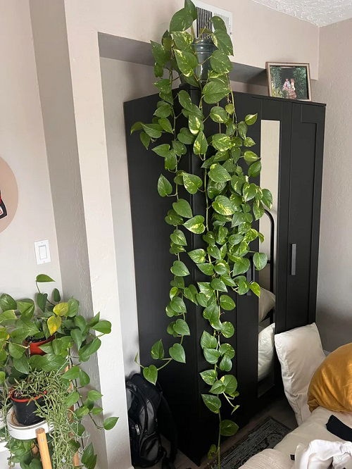 Πόθος “Καταρράκτης”: 18 Μοναδικές Ιδέες για να Μεταμορφώσεις το Σπίτι σου 3 Πόθος “Καταρράκτης”: 18 Μοναδικές Ιδέες για να Μεταμορφώσεις το Σπίτι σου