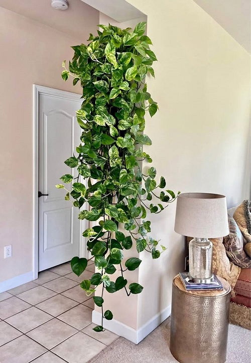 Πόθος “Καταρράκτης”: 18 Μοναδικές Ιδέες για να Μεταμορφώσεις το Σπίτι σου 12 Πόθος “Καταρράκτης”: 18 Μοναδικές Ιδέες για να Μεταμορφώσεις το Σπίτι σου