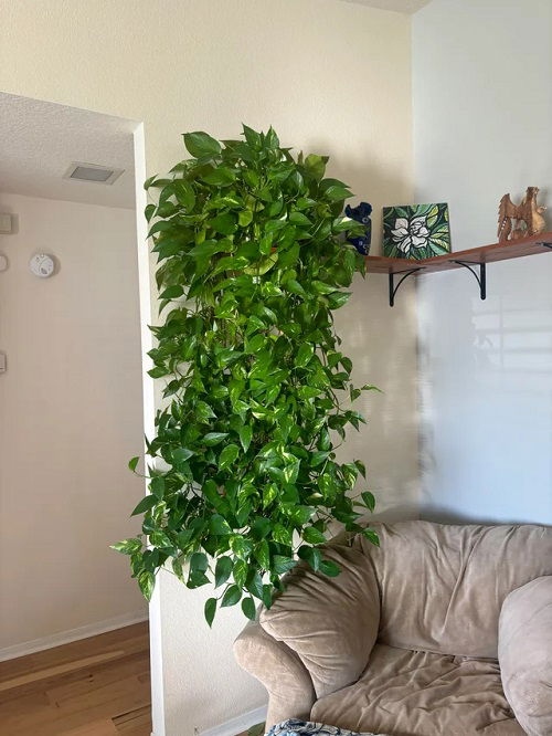 Πόθος “Καταρράκτης”: 18 Μοναδικές Ιδέες για να Μεταμορφώσεις το Σπίτι σου 13 Πόθος “Καταρράκτης”: 18 Μοναδικές Ιδέες για να Μεταμορφώσεις το Σπίτι σου