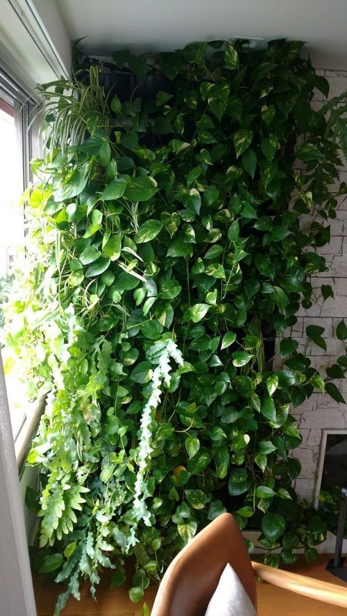 Πόθος “Καταρράκτης”: 18 Μοναδικές Ιδέες για να Μεταμορφώσεις το Σπίτι σου 15 Πόθος “Καταρράκτης”: 18 Μοναδικές Ιδέες για να Μεταμορφώσεις το Σπίτι σου