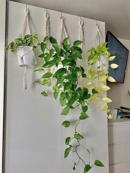 Πόθος “Καταρράκτης”: 18 Μοναδικές Ιδέες για να Μεταμορφώσεις το Σπίτι σου 17 Πόθος “Καταρράκτης”: 18 Μοναδικές Ιδέες για να Μεταμορφώσεις το Σπίτι σου