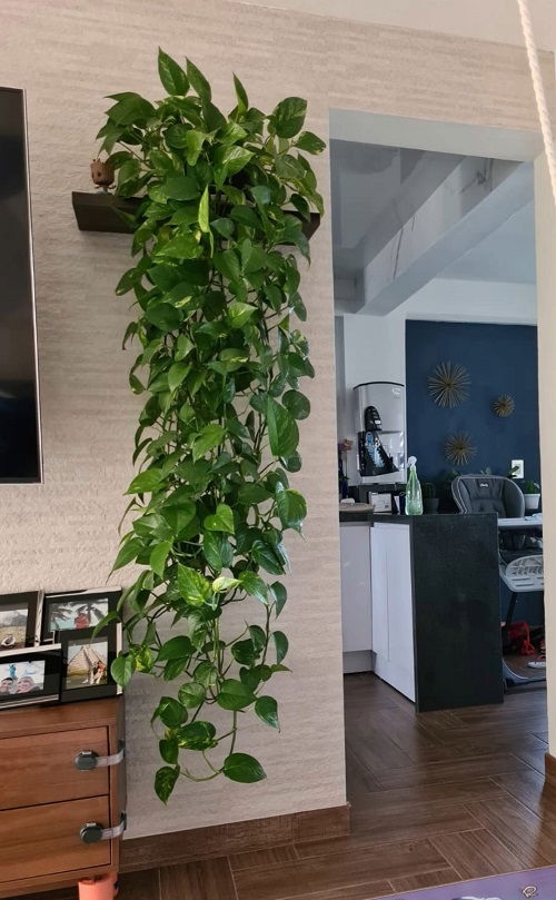 Πόθος “Καταρράκτης”: 18 Μοναδικές Ιδέες για να Μεταμορφώσεις το Σπίτι σου 18 Πόθος “Καταρράκτης”: 18 Μοναδικές Ιδέες για να Μεταμορφώσεις το Σπίτι σου