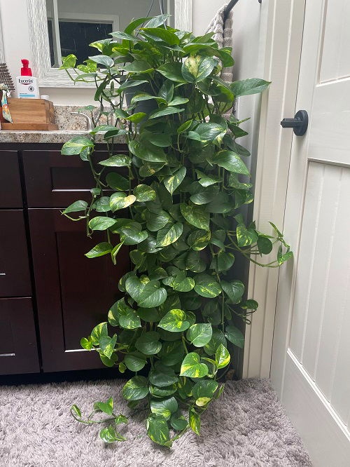 Πόθος “Καταρράκτης”: 18 Μοναδικές Ιδέες για να Μεταμορφώσεις το Σπίτι σου 19 Πόθος “Καταρράκτης”: 18 Μοναδικές Ιδέες για να Μεταμορφώσεις το Σπίτι σου