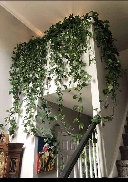 Πόθος “Καταρράκτης”: 18 Μοναδικές Ιδέες για να Μεταμορφώσεις το Σπίτι σου 4 Πόθος “Καταρράκτης”: 18 Μοναδικές Ιδέες για να Μεταμορφώσεις το Σπίτι σου