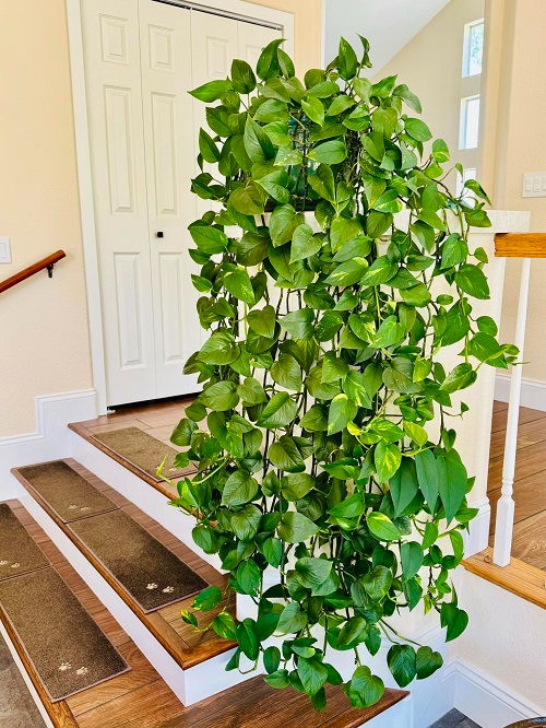 Πόθος “Καταρράκτης”: 18 Μοναδικές Ιδέες για να Μεταμορφώσεις το Σπίτι σου 6 Πόθος “Καταρράκτης”: 18 Μοναδικές Ιδέες για να Μεταμορφώσεις το Σπίτι σου