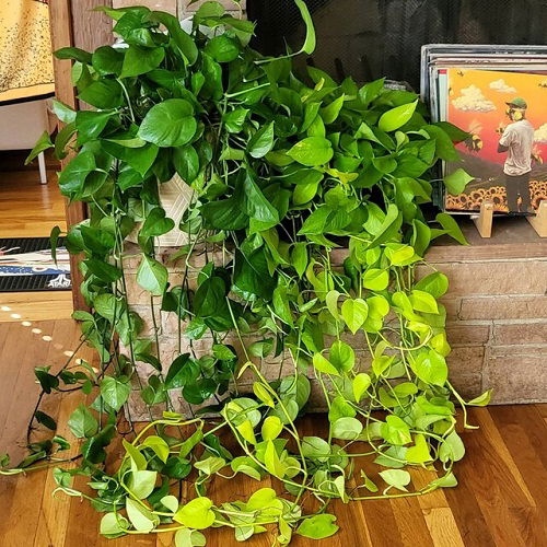 Πόθος “Καταρράκτης”: 18 Μοναδικές Ιδέες για να Μεταμορφώσεις το Σπίτι σου 8 Πόθος “Καταρράκτης”: 18 Μοναδικές Ιδέες για να Μεταμορφώσεις το Σπίτι σου