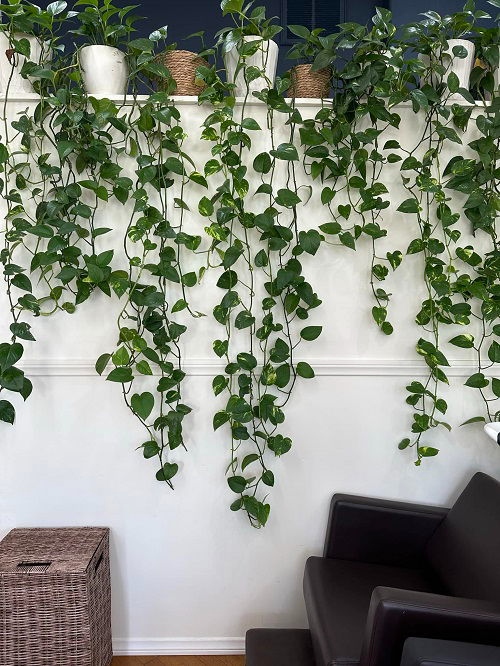 Πόθος “Καταρράκτης”: 18 Μοναδικές Ιδέες για να Μεταμορφώσεις το Σπίτι σου 7 Πόθος “Καταρράκτης”: 18 Μοναδικές Ιδέες για να Μεταμορφώσεις το Σπίτι σου