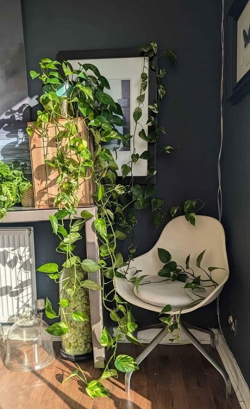 Πόθος “Καταρράκτης”: 18 Μοναδικές Ιδέες για να Μεταμορφώσεις το Σπίτι σου 9 Πόθος “Καταρράκτης”: 18 Μοναδικές Ιδέες για να Μεταμορφώσεις το Σπίτι σου