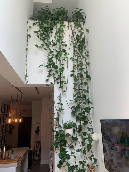 Πόθος “Καταρράκτης”: 18 Μοναδικές Ιδέες για να Μεταμορφώσεις το Σπίτι σου 10 Πόθος “Καταρράκτης”: 18 Μοναδικές Ιδέες για να Μεταμορφώσεις το Σπίτι σου