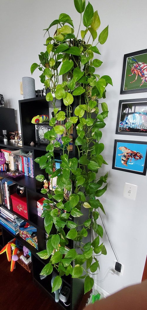 Πόθος “Καταρράκτης”: 18 Μοναδικές Ιδέες για να Μεταμορφώσεις το Σπίτι σου 11 Πόθος “Καταρράκτης”: 18 Μοναδικές Ιδέες για να Μεταμορφώσεις το Σπίτι σου