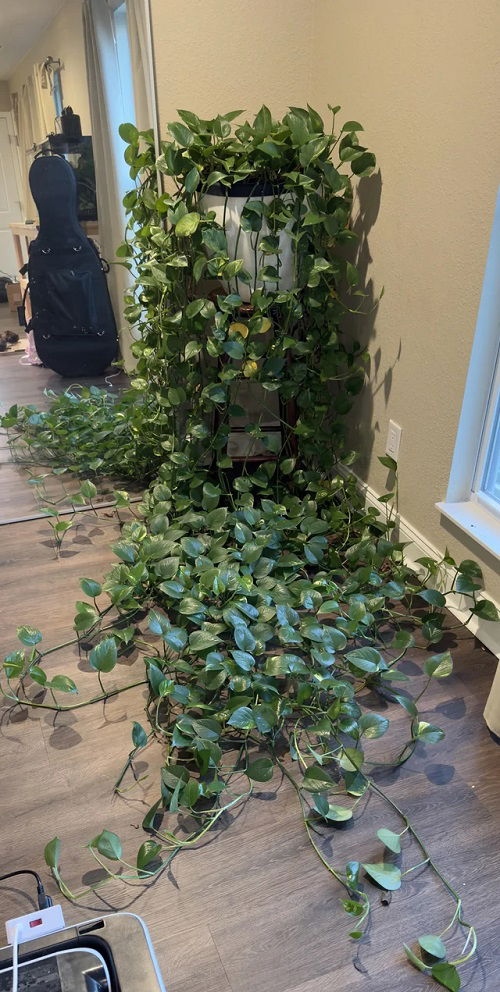 Πόθος “Καταρράκτης”: 18 Μοναδικές Ιδέες για να Μεταμορφώσεις το Σπίτι σου 2 Πόθος “Καταρράκτης”: 18 Μοναδικές Ιδέες για να Μεταμορφώσεις το Σπίτι σου