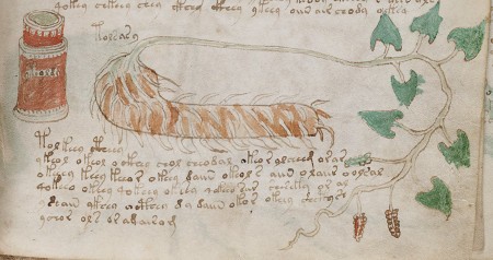 Το Χειρόγραφο Voynich: Το μεγαλύτερο άλυτο μυστήριο στην ιστορία των βιβλίων 11 Το Χειρόγραφο Voynich: Το μεγαλύτερο άλυτο μυστήριο στην ιστορία των βιβλίων