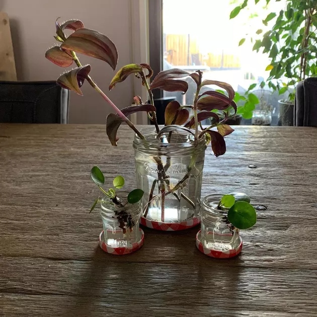 Μην πετάς τα μικρά βαζάκια Bonne Maman: 8 πανέξυπνες ιδέες για να τα ξαναχρησιμοποιήσεις στο σπίτι 3 Μην πετάς τα μικρά βαζάκια Bonne Maman: 8 πανέξυπνες ιδέες για να τα ξαναχρησιμοποιήσεις στο σπίτι