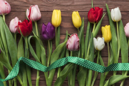 Το χρώμα της τουλίπας που διαλέγεις αποκαλύπτει περισσότερα για σένα απ’ όσα νομίζεις