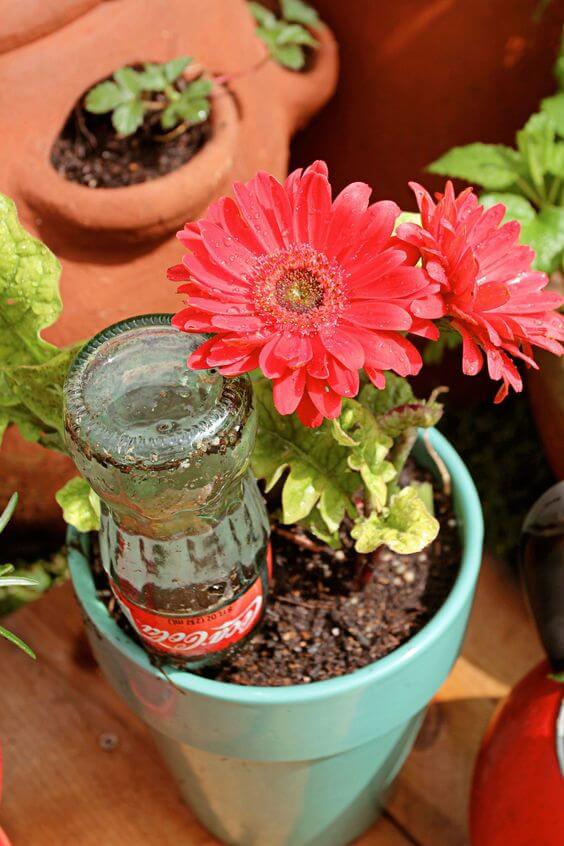 10 κατασκευές κήπου με μπουκάλια και κουτάκια Coca-Cola 5 10 κατασκευές κήπου με μπουκάλια και κουτάκια Coca-Cola