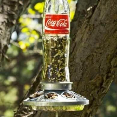 10 κατασκευές κήπου με μπουκάλια και κουτάκια Coca-Cola 10 10 κατασκευές κήπου με μπουκάλια και κουτάκια Coca-Cola