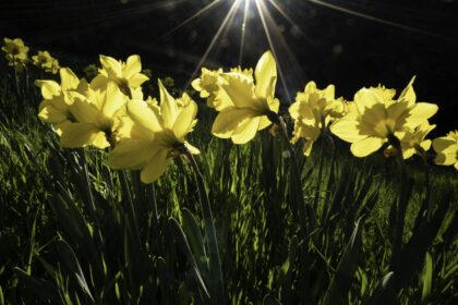 Εαρινή Ισημερία: Πότε μπαίνει και επίσημα η Άνοιξη και πότε αλλάζουμε την ώρα