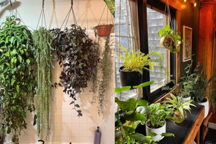 20+ σπίτια που μεταμορφώθηκαν σε πράσινη όαση: Μόλις δείτε το αποτέλεσμα θα θέλετε να το κάνετε κι εσείς