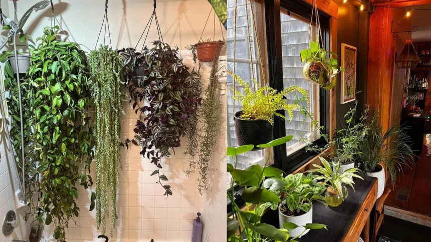 20+ σπίτια που μεταμορφώθηκαν σε πράσινη όαση: Μόλις δείτε το αποτέλεσμα θα θέλετε να το κάνετε κι εσείς