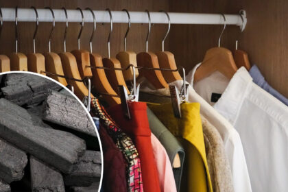 κάρβουνο από μπαμπού